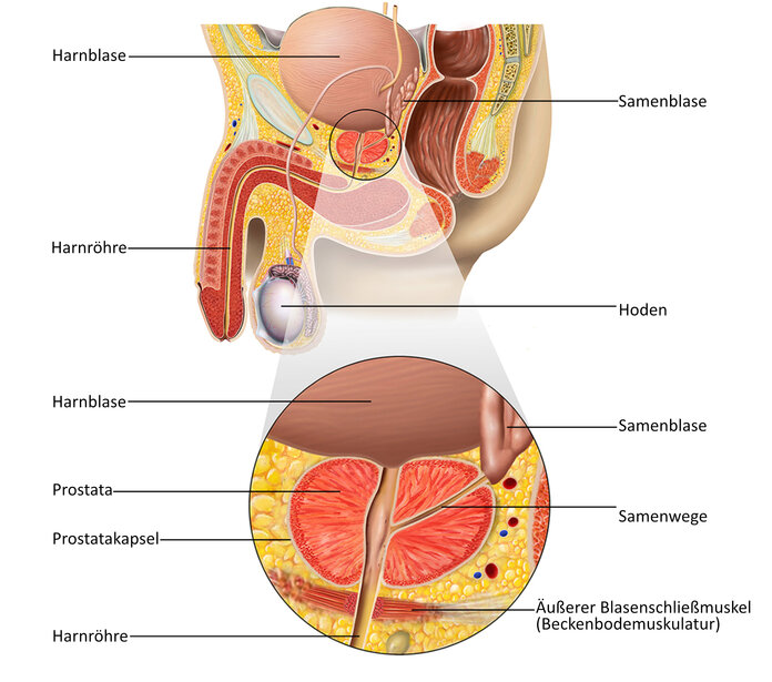 nuklearmedizin prostatakrebs