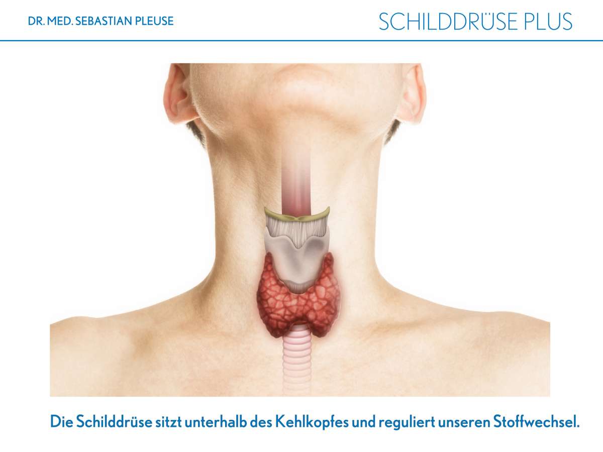 dr laubenbacher schilddrüse