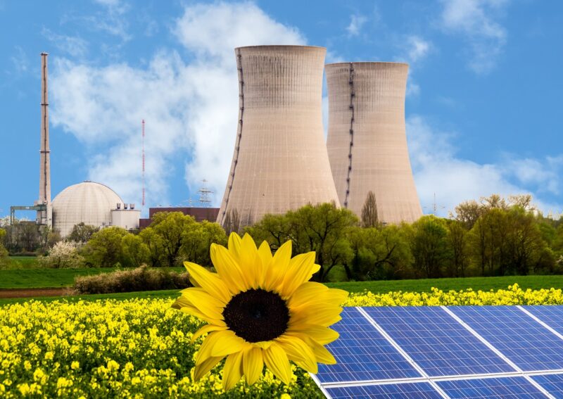 atomenergiesektor