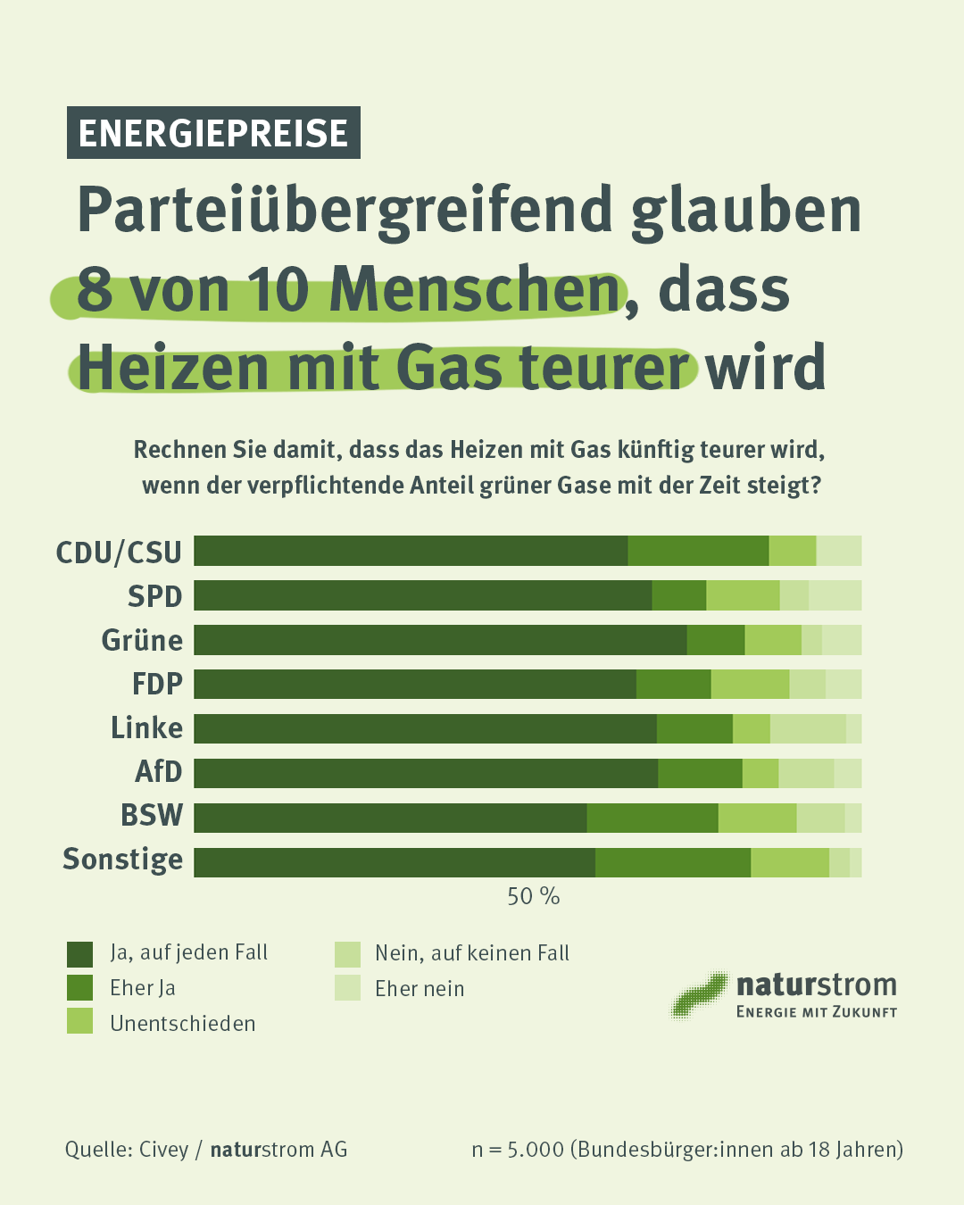 energiepolitik die grünen