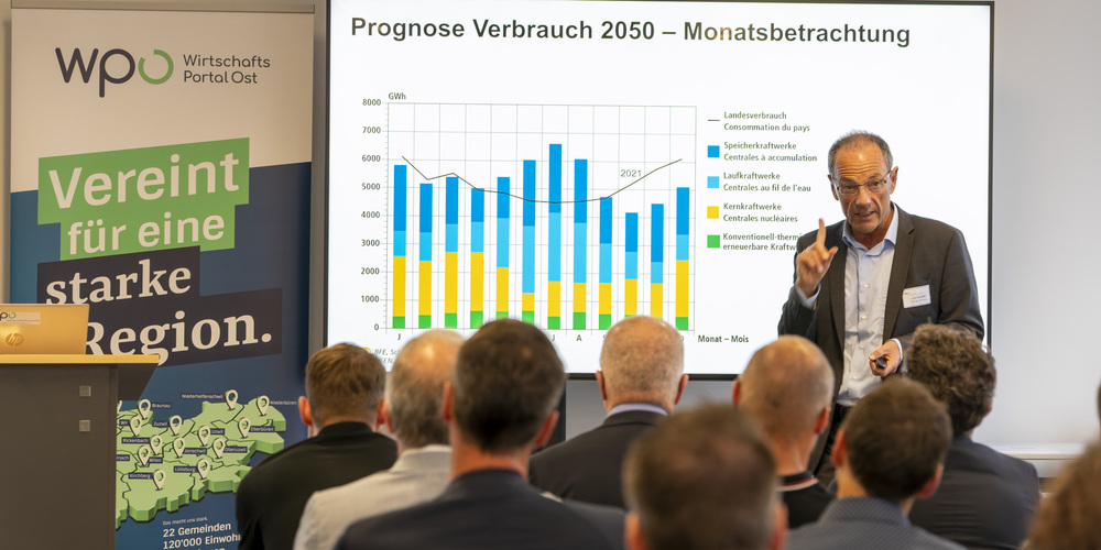 energiepolitik referat
